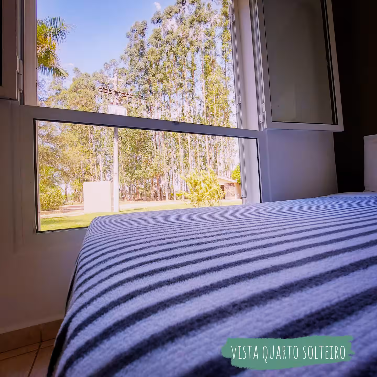Fazenda Vida Nova