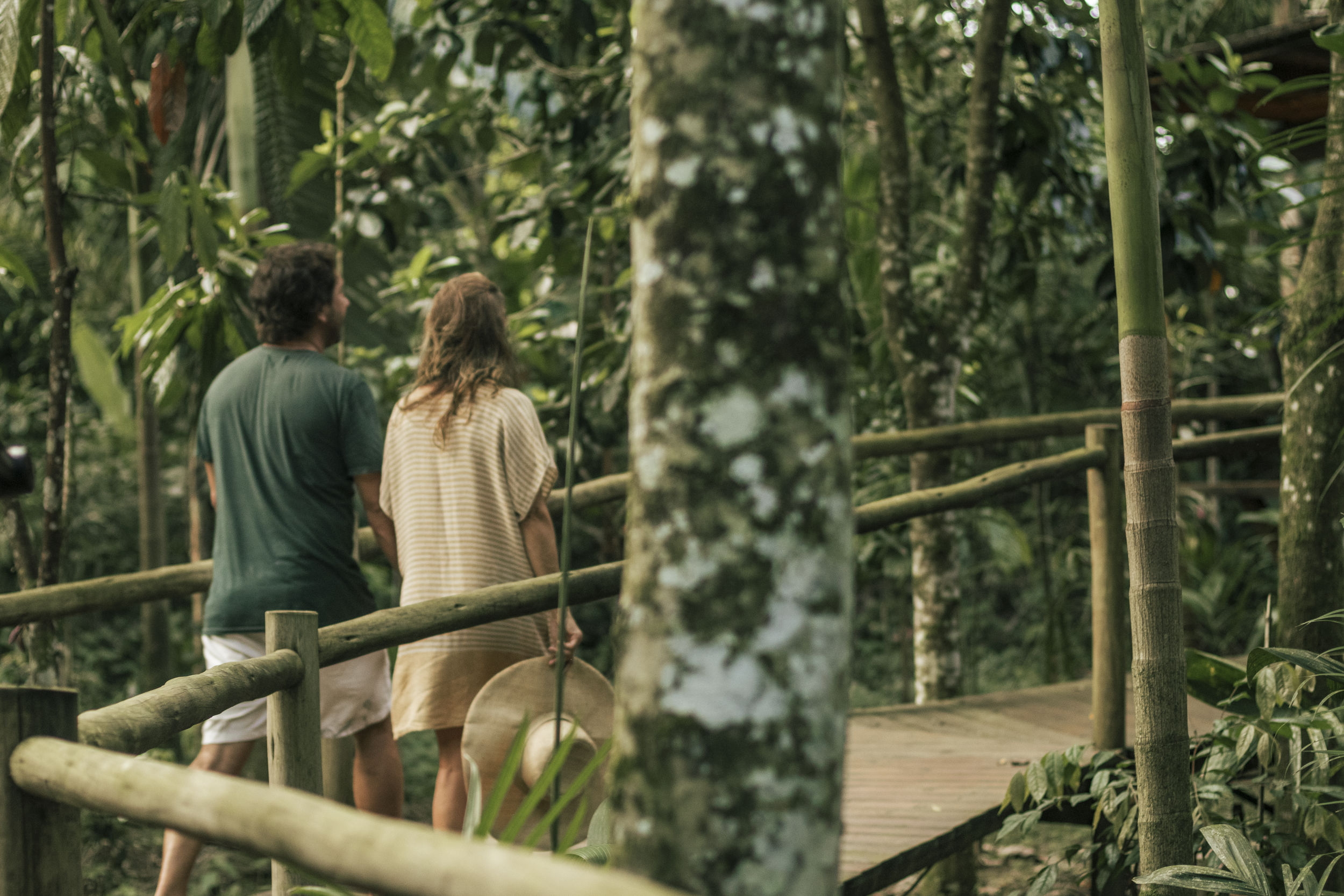 Banana Bamboo Ecolodge